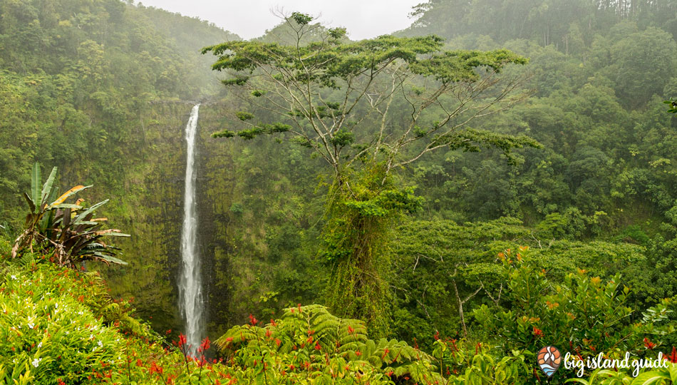 Big Island Waterfalls such as Akaka Falls are a Hawaii Must See