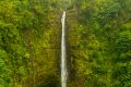 Akaka Falls on the Big Island of Hawaii