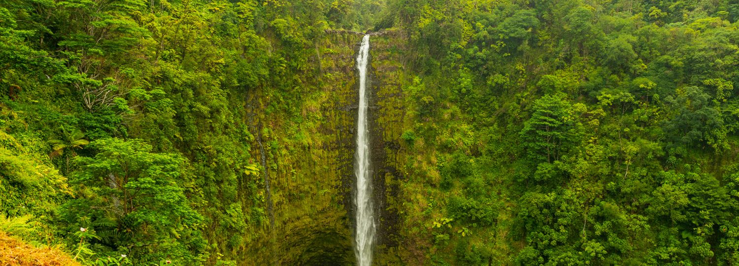 Akaka Falls on the Big Island of Hawaii