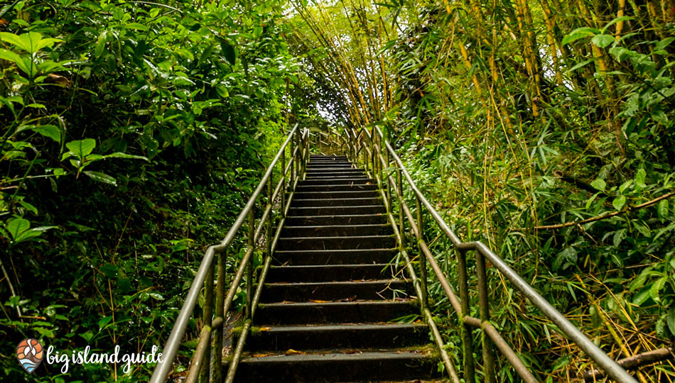 Stairs on the Akaka Falls Loop Trail