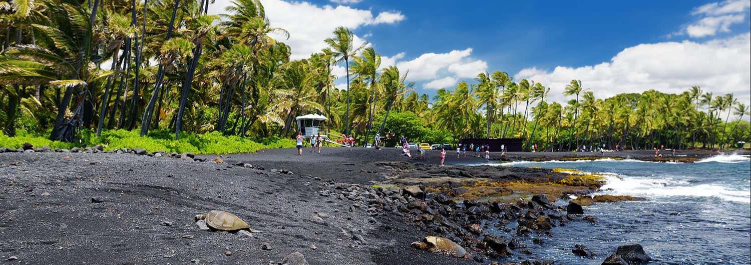 Punalu’u Black Sand Beach