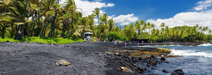Punalu’u Black Sand Beach