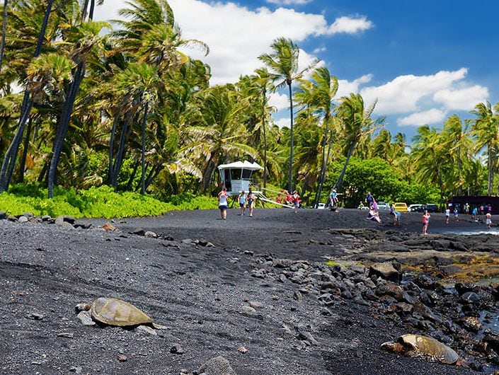 Punalu’u Black Sand Beach
