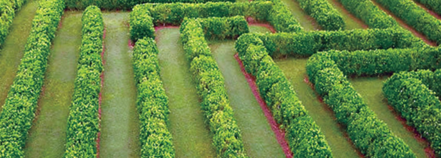 Botanical World Gardens Maze