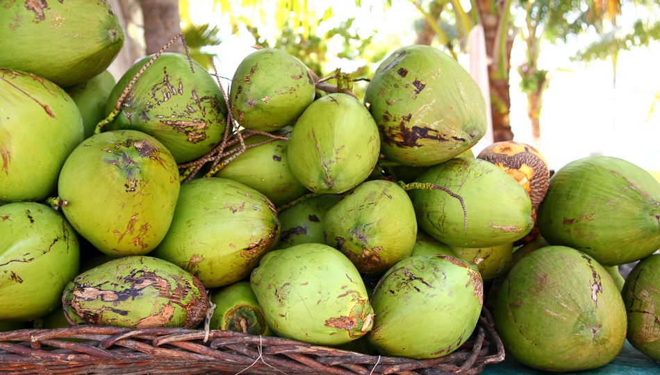 Coconuts at a Big Island Farmers Market
