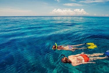 Snorkeling on the Big Island