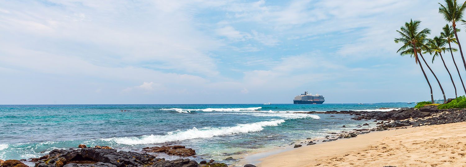 Honl's Beach with Palm Trees on the shoreline