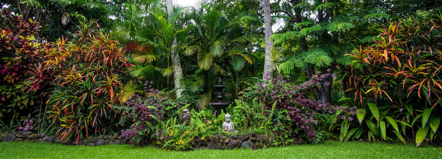 Honu Kai Bed and Breakfast