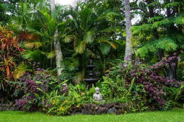 Honu Kai Bed and Breakfast