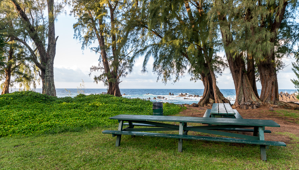Picnic tables at Laupahoehoe Point Beach Park