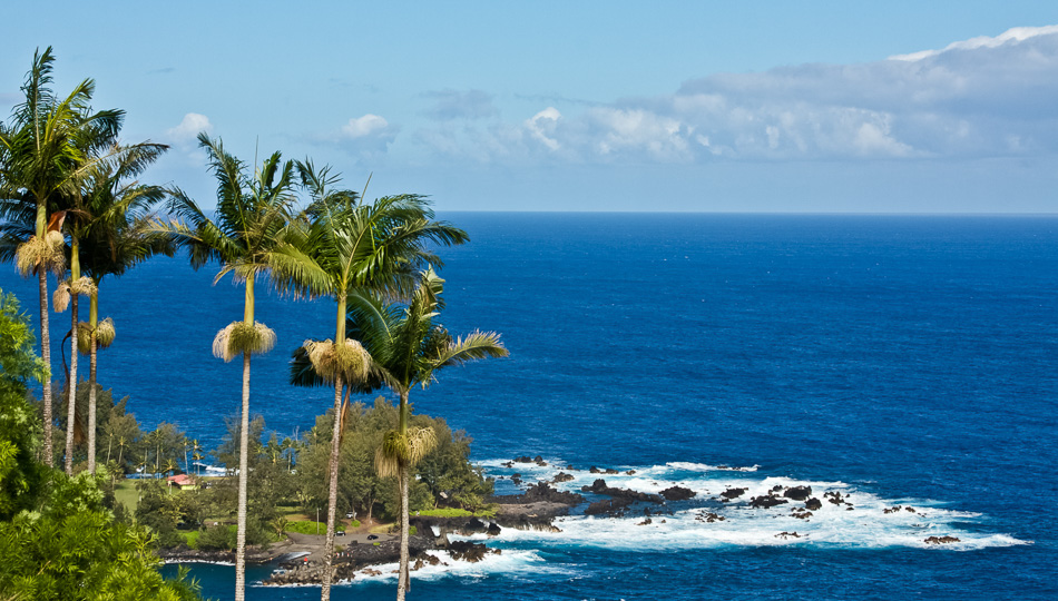 View of Laupahoehoe Point Beach Park from above