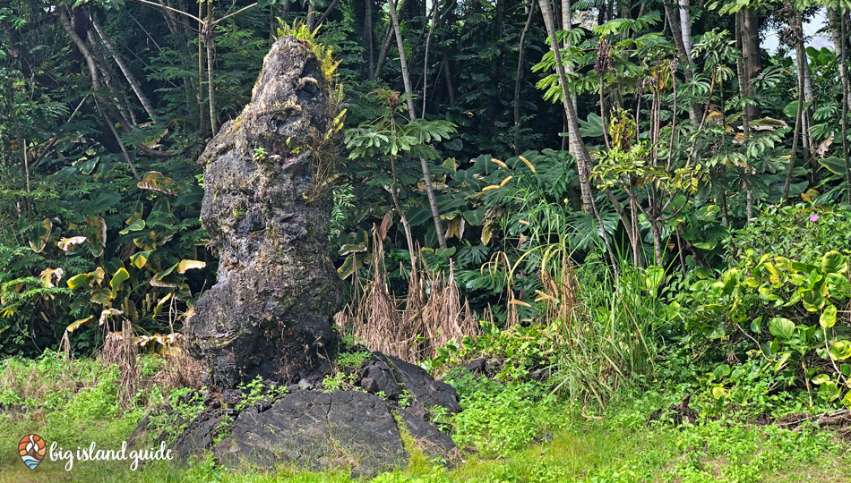 Preserved Lava Tree along the trail at Lava Tree State Park