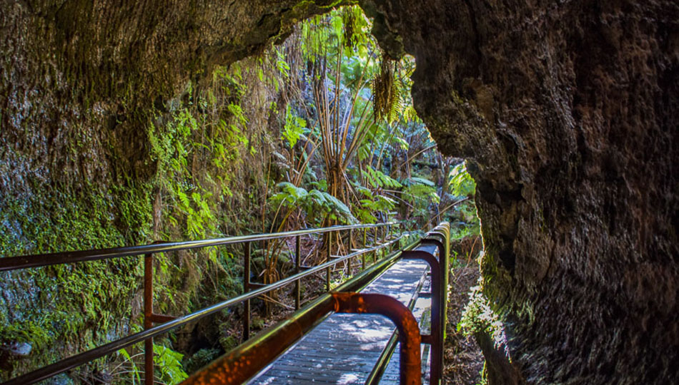 Thurston Lava Tube Entrance