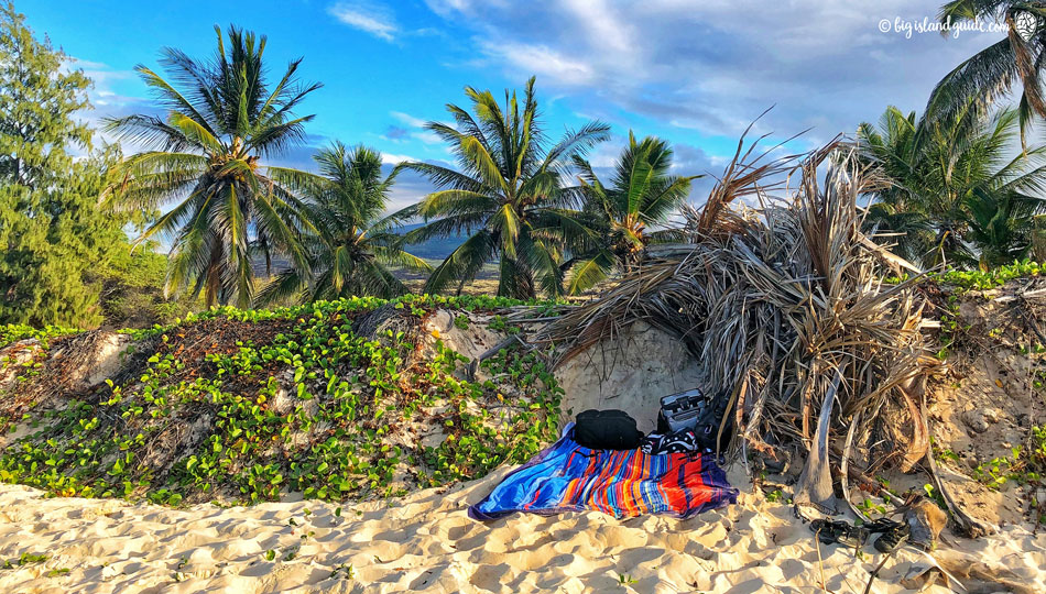 Shaded Grass Hut on Makalawena Beach