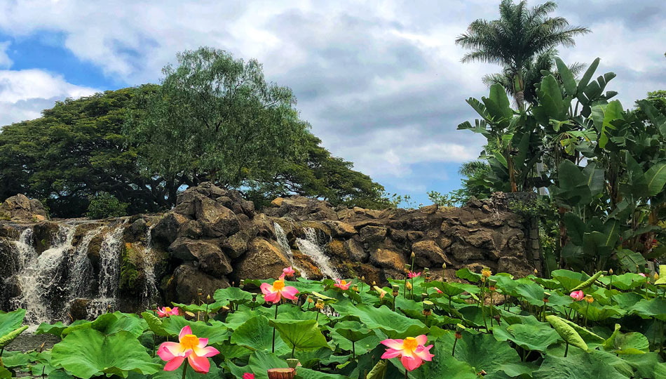Waterfall and flowers in front of Makani Golf Club