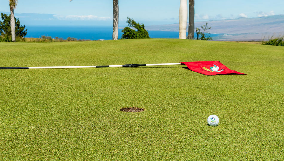 Makani Golf Club Flag & Ball