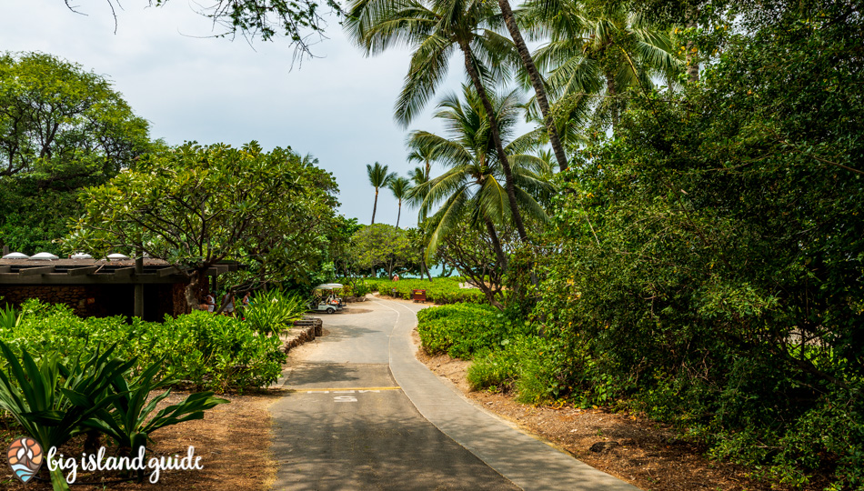 Walking trail from the Parking Lot to Kaunaoa Beach (Mauna Kea Beach)