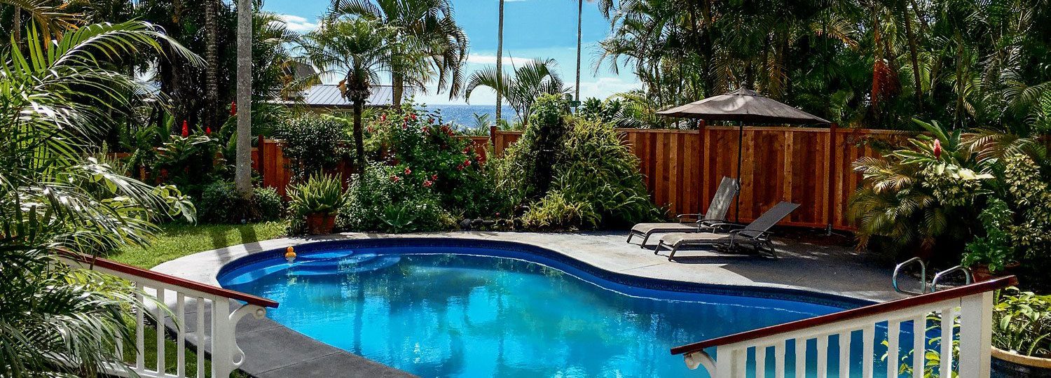 Orchid Tree Bed and Breakfast