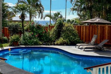 Orchid Tree Bed and Breakfast