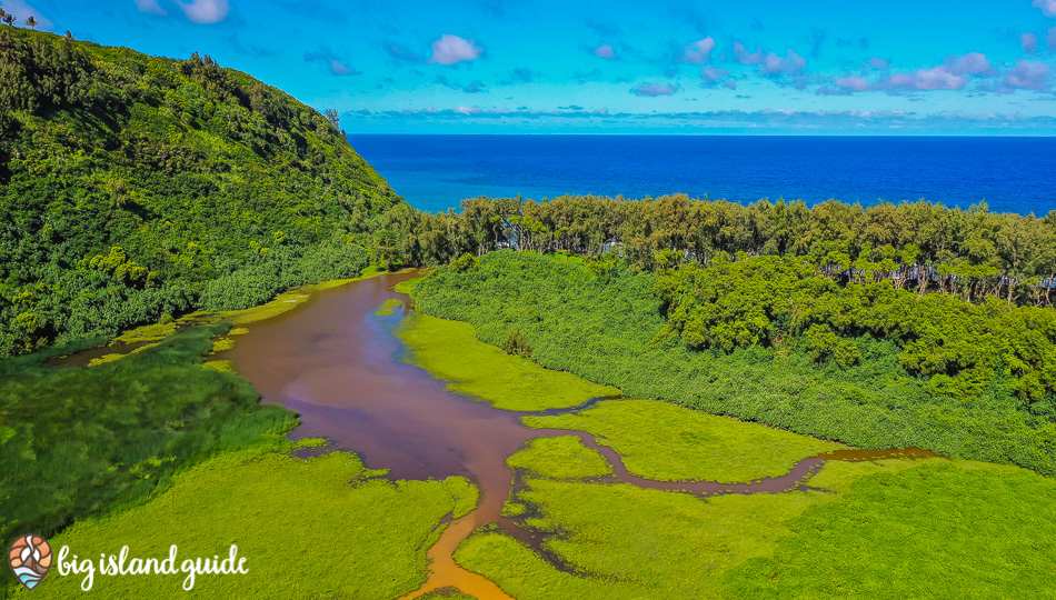 Aerial View of Pololu Valley Stream and the Pacific Ocean
