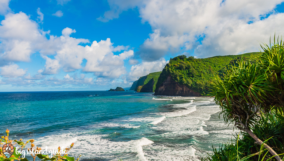 Pololu Valley from the overlook