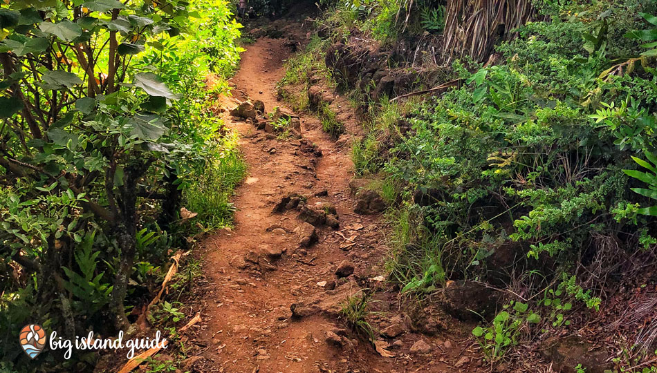Pololu Valley Hiking Trail
