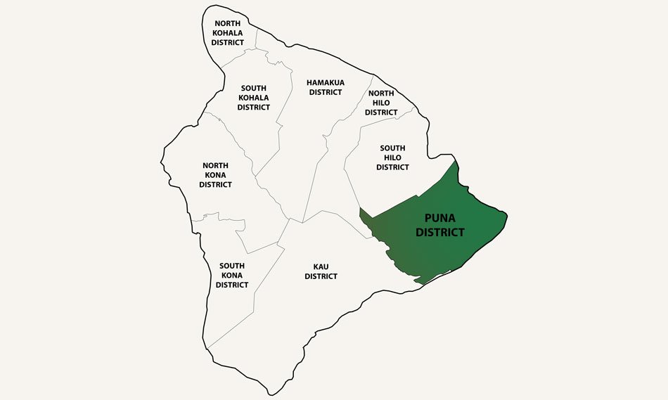 District of Puna Map