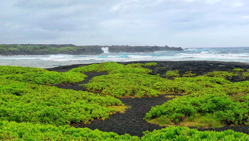 Waves in the bay near Punaluu Black Sand Beach