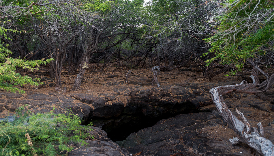 Keanalele freshwater pool at Kiholo Bay