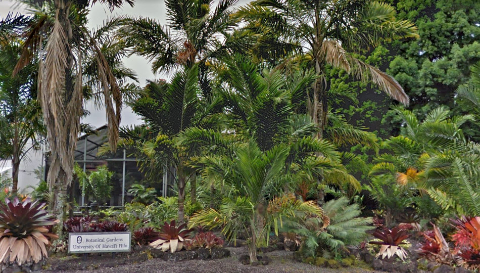 University of Hawaii at Hilo Botanical Gardens on the Big Island