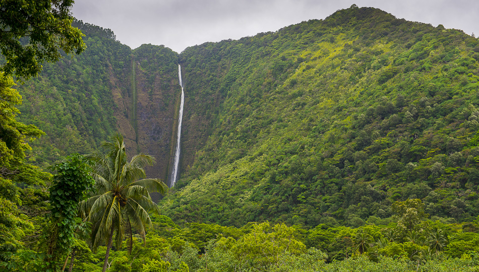 Hi'ilawe Falls at the back of the Waipio Valley