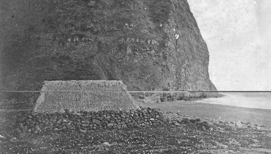 Historic Photo of a Thatched building in the the Waipio Valley of the Kings Hawaii