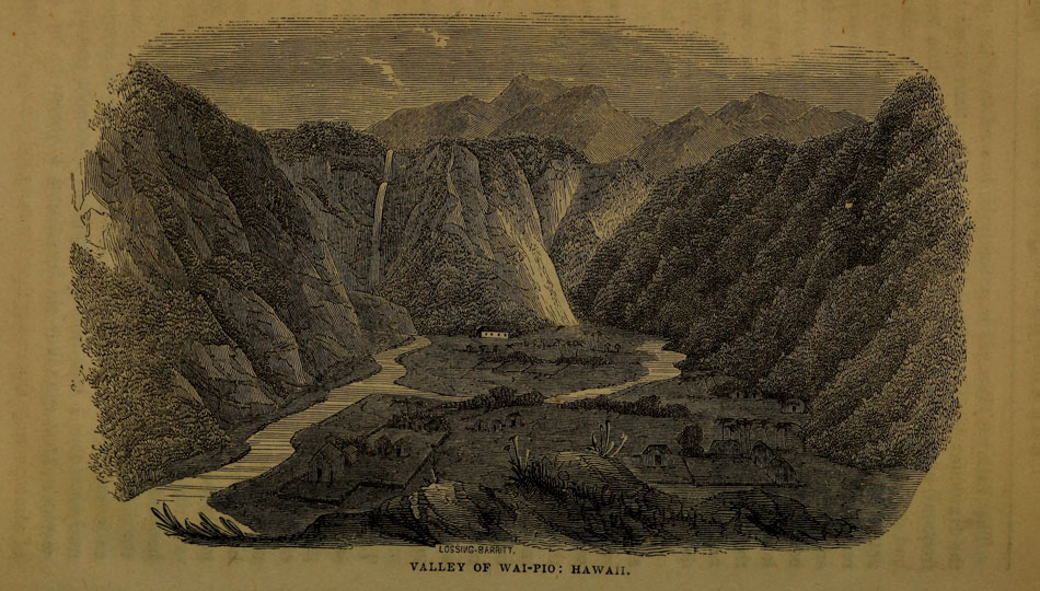 Historic Drawing of the Waipio Valley